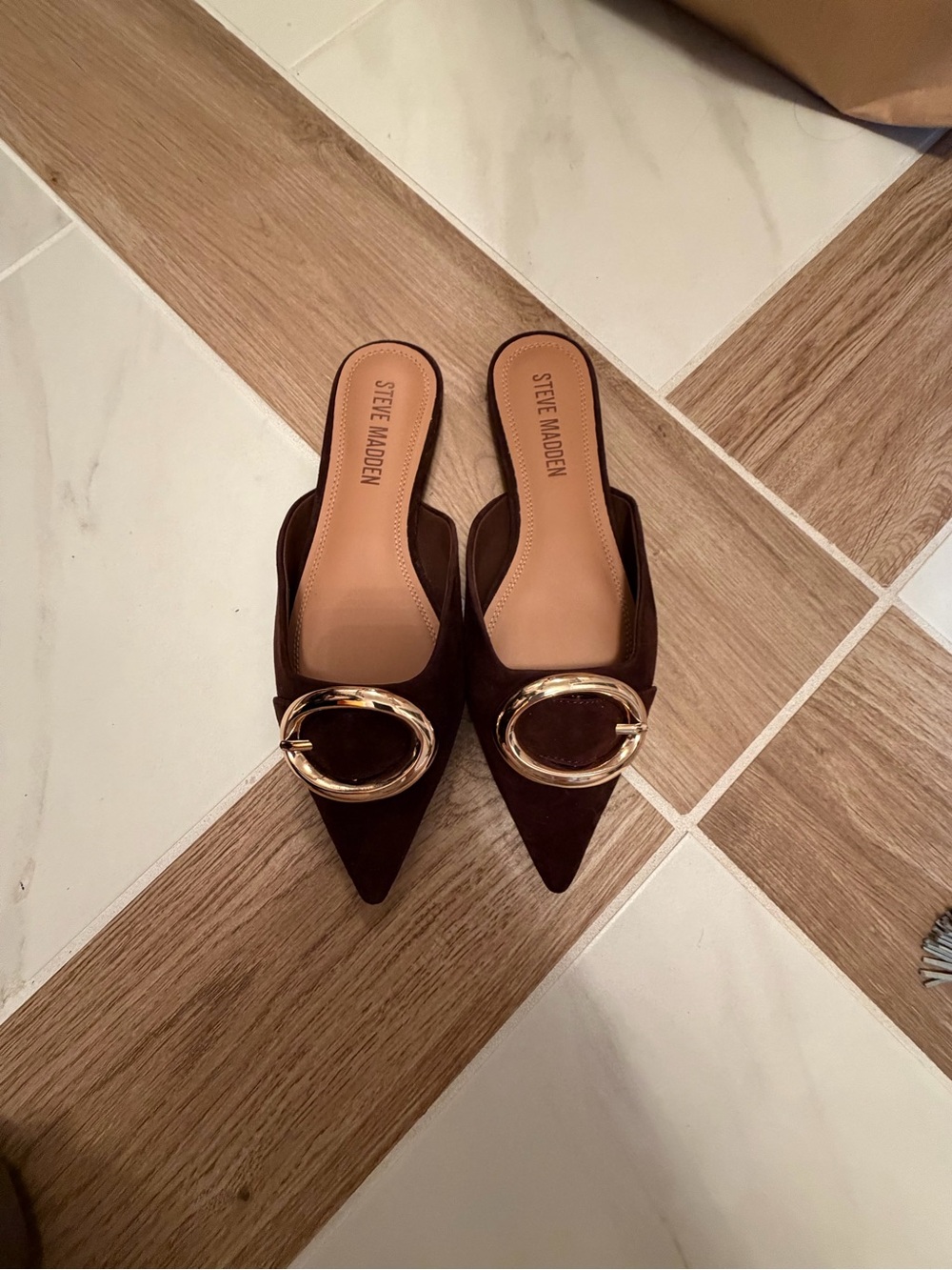 Steve Madden Chocolate Brown Pointed Mule with Gold Ring Accent